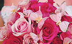 Pink Wedding